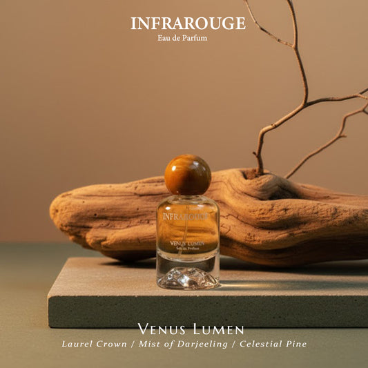#05Venus Lumen